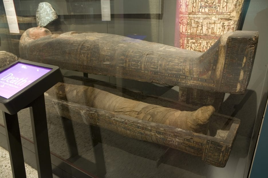 an egyptian mummy on display in a museum